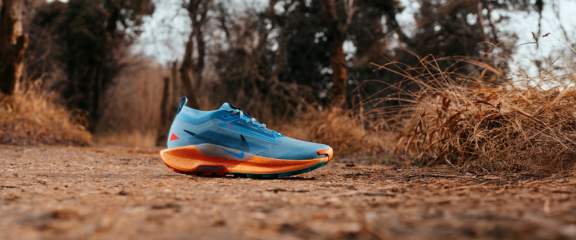 Nike Pegasus Trail 5 GORE-TEX - Blue Beyond/Blue Void/Copper Moon