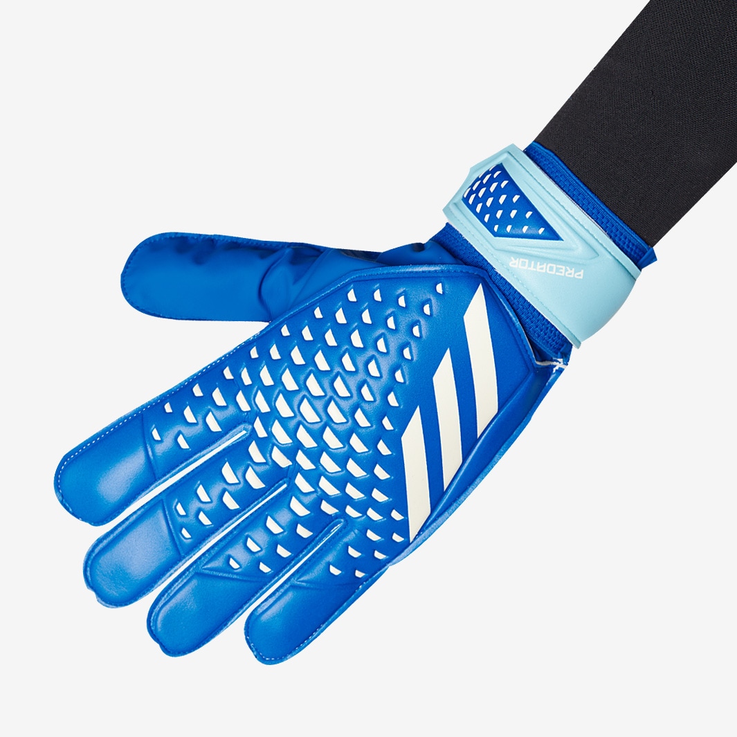 adidas Predator Training - Blue Royal/Bliss Blue/White