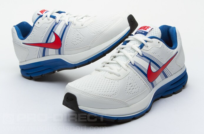 nike air pegasus  29