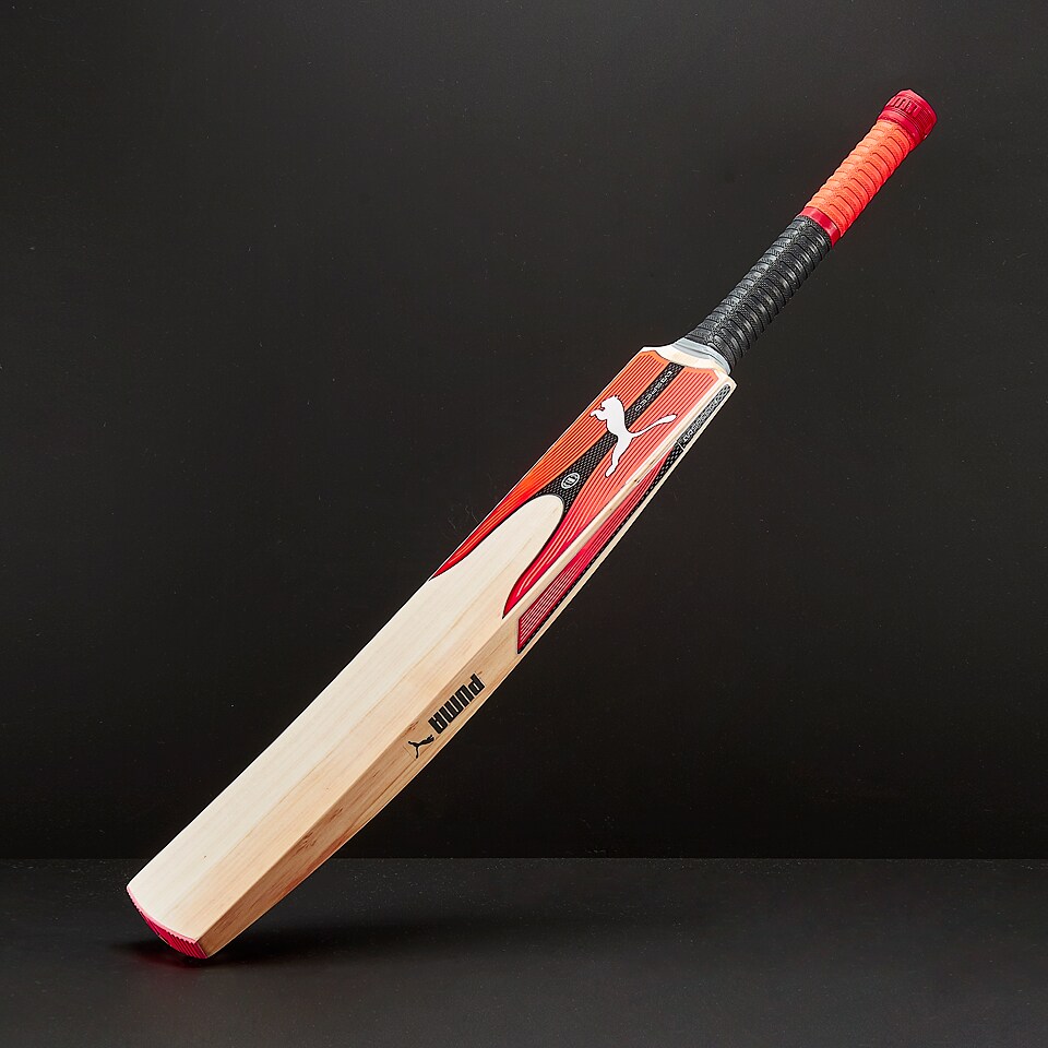 Puma evospeed 4 cricket bat online