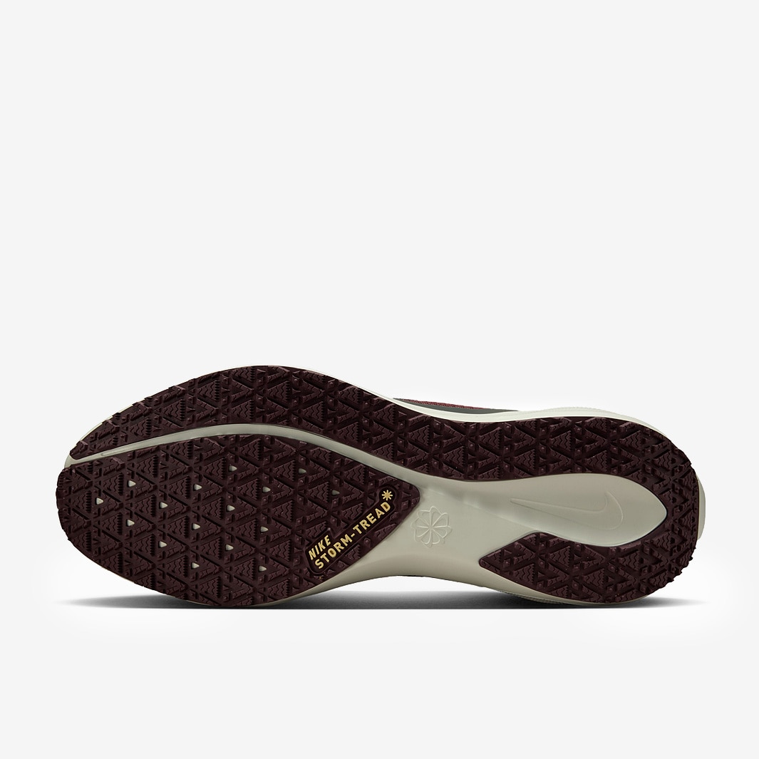Nike Pegasus 41 GORE-TEX - Light Pumice/Ashen Slate-Burgundy