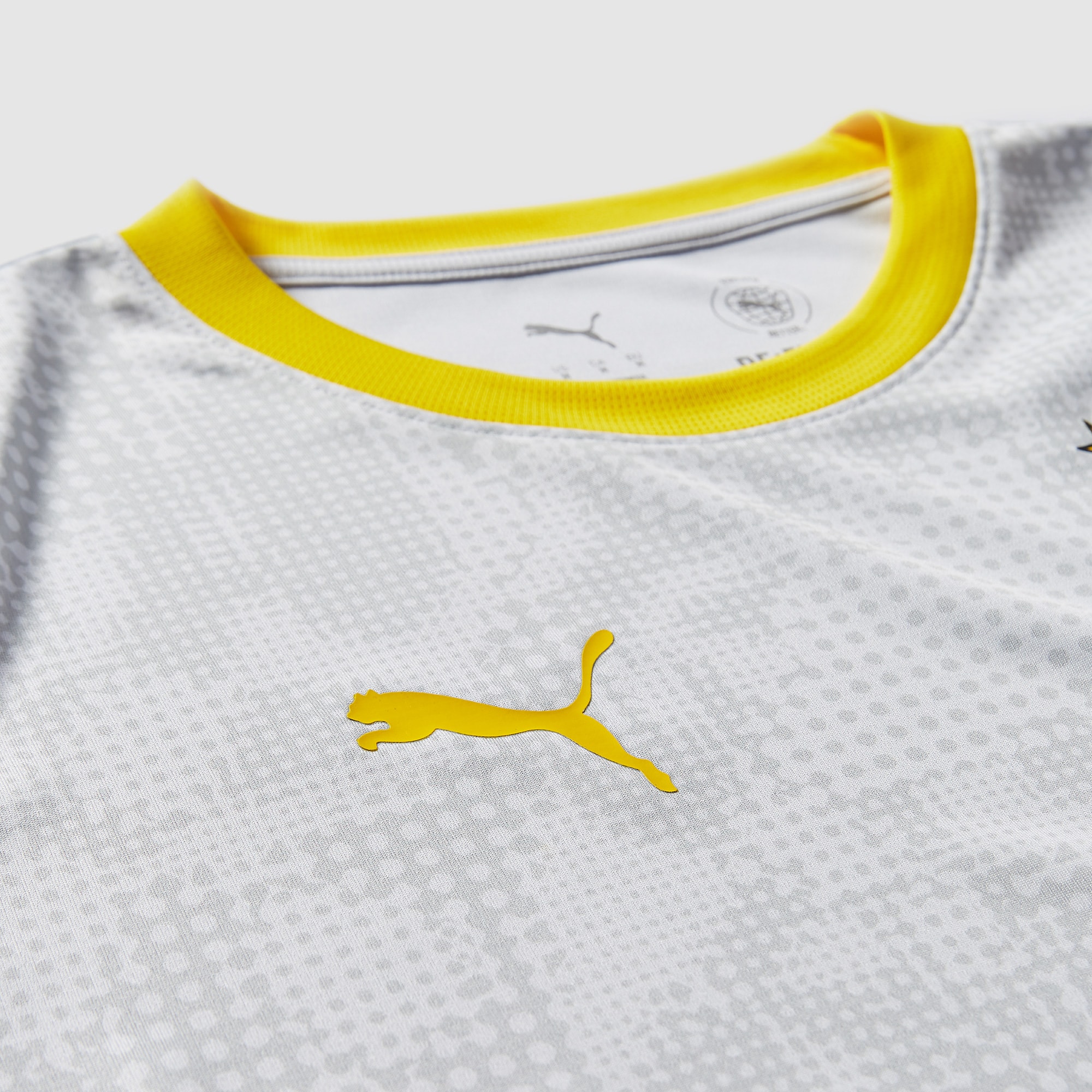 Puma Borussia Dortmund 25/26 Training Shirt Silver Mist/Faster