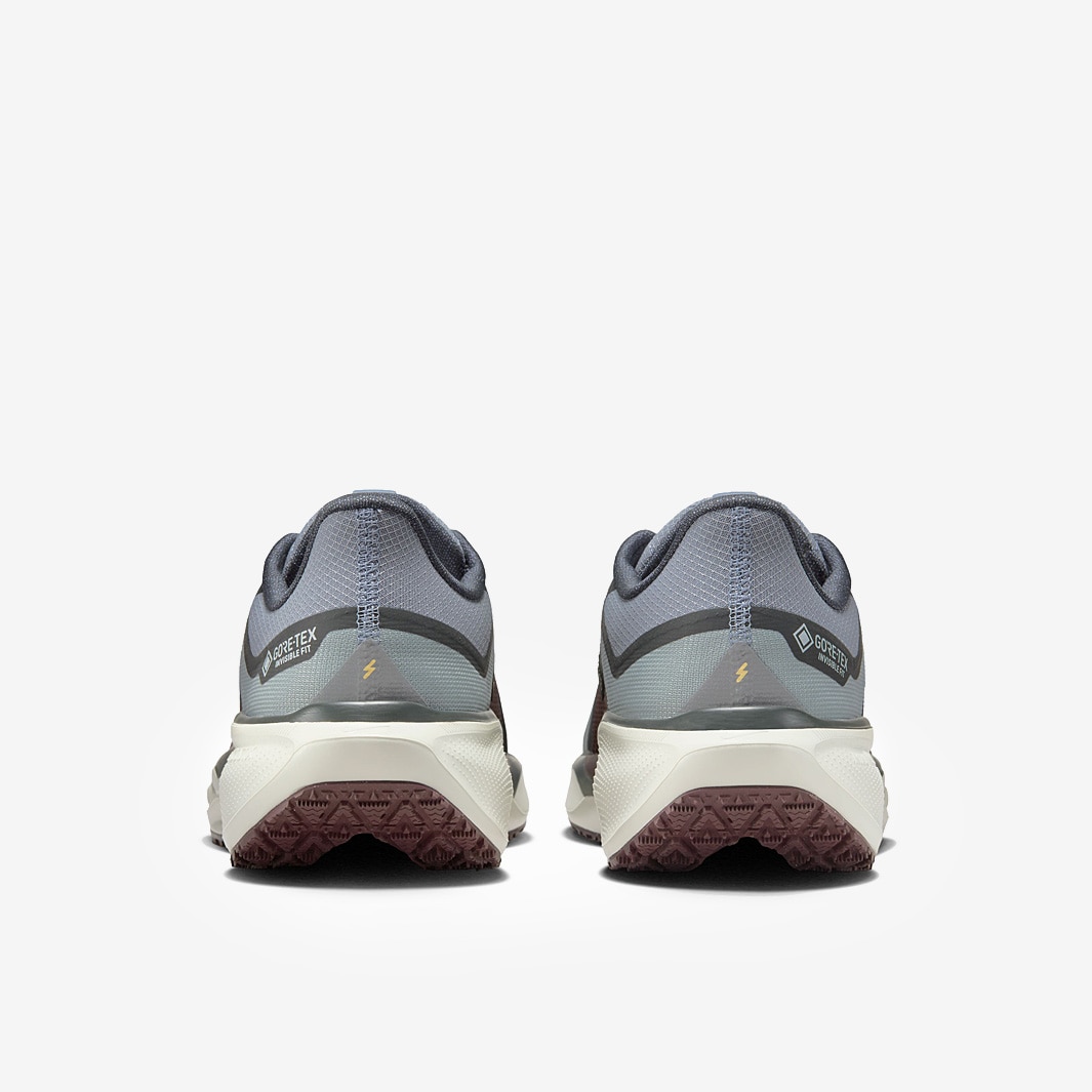 Nike Pegasus 41 GORE-TEX - Light Pumice/Ashen Slate-Burgundy