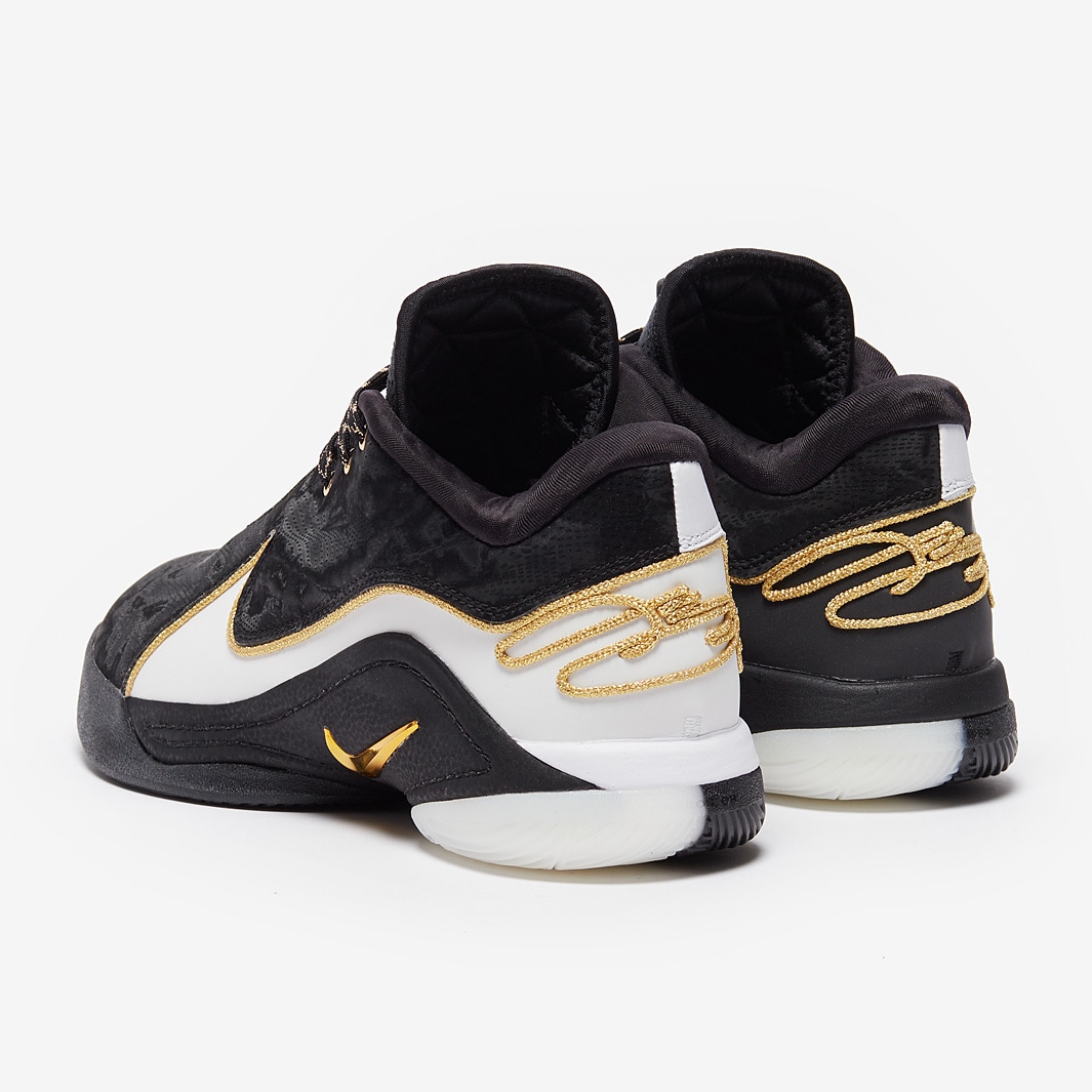 Nike Lebron XXII White/Black/Metallic Gold Mens Shoes Pro