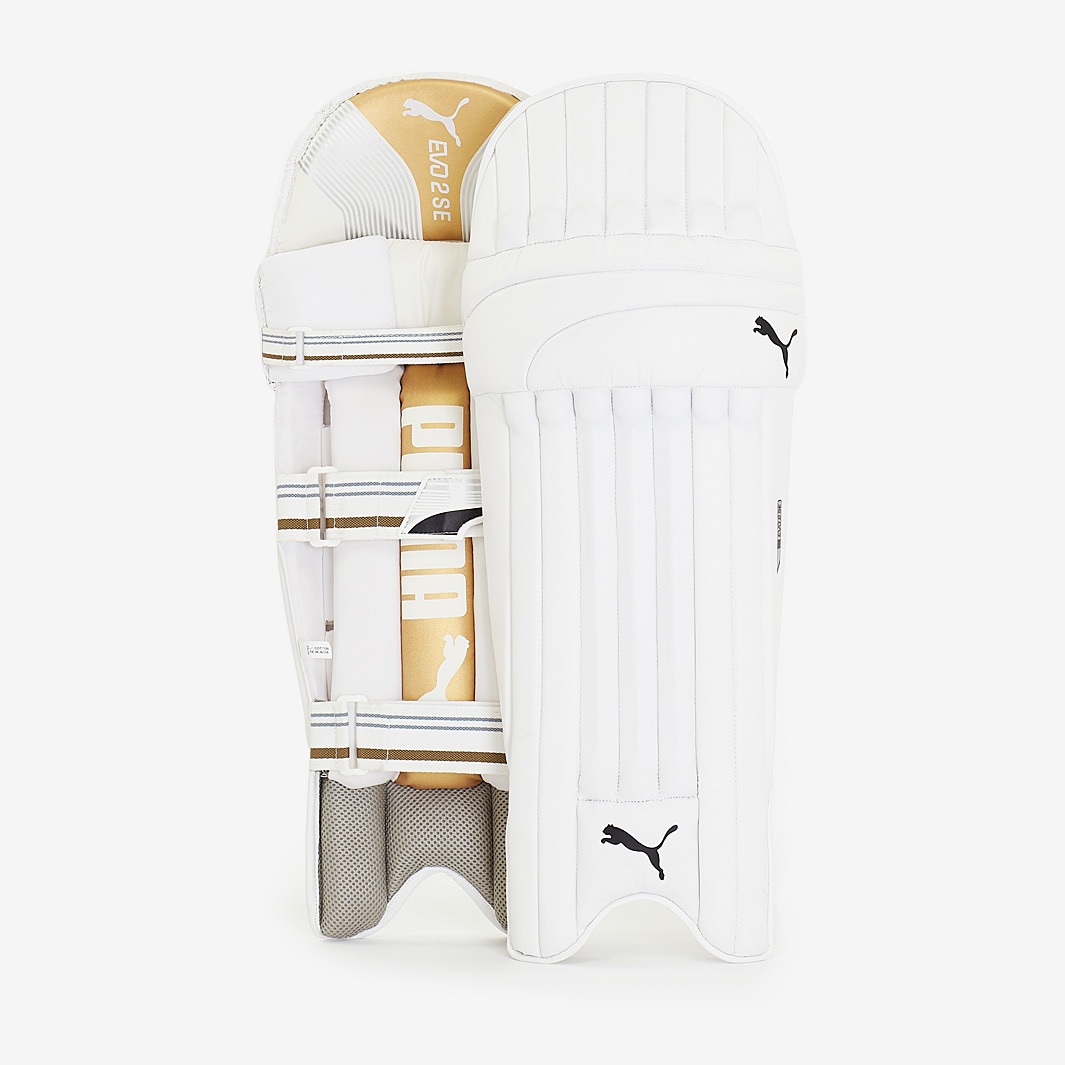 Puma Evo 2 SE Ambi Batting Pads White Silver Gold Batting Equipment Pads Pro Direct Cricket