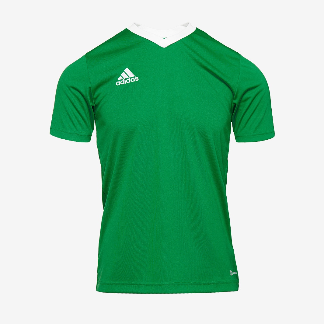 Camiseta adidas Entrada 22 MC Team Verde/Blanco - Equipaciones de fútbol | Pro:Direct Soccer