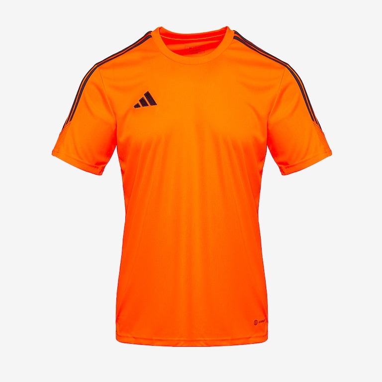 Maglia adidas Tiro 23 Junior Club Maniche Corte Training App