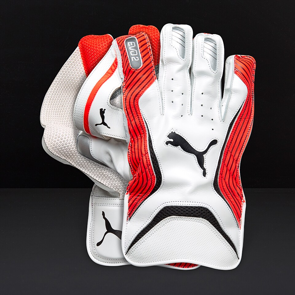 puma evospeed 1 wicket keeping gloves