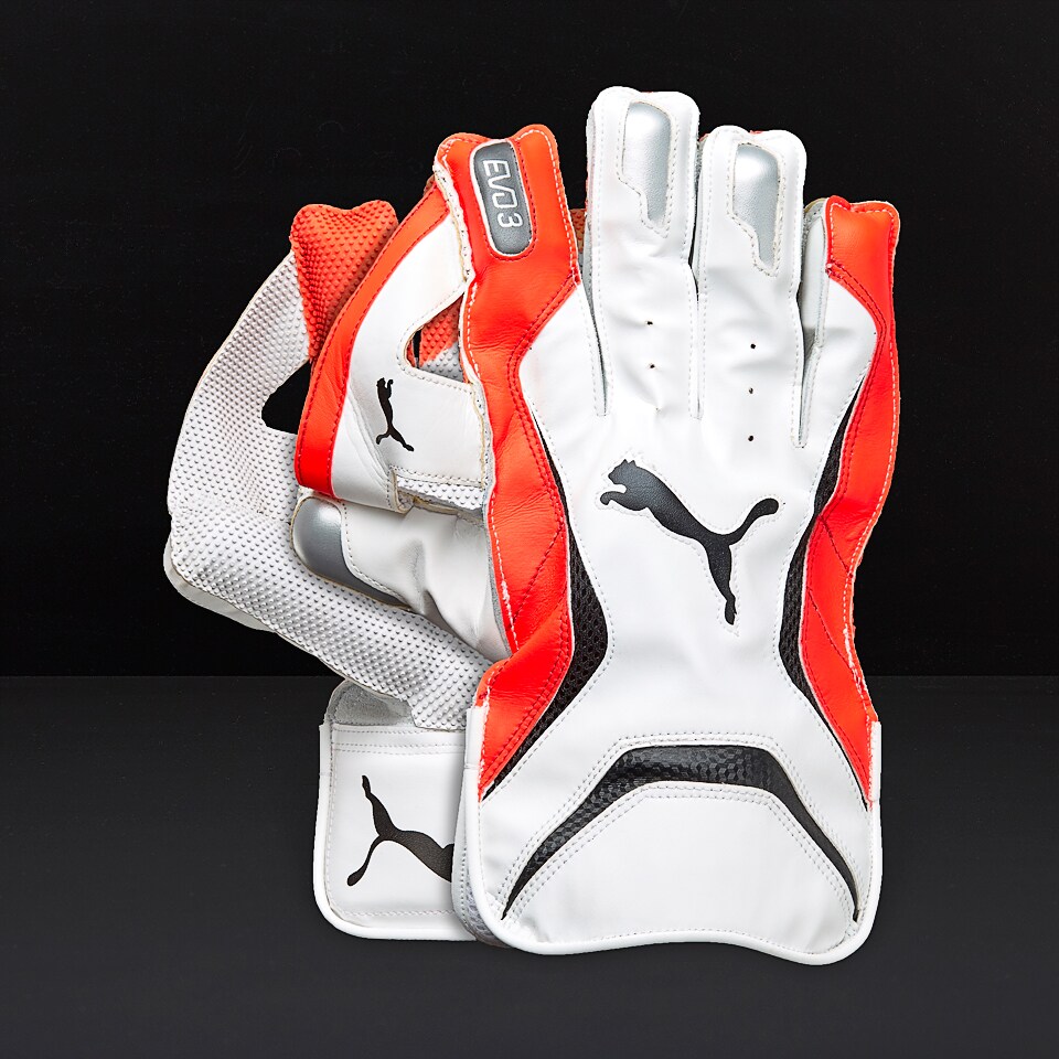 Puma evo 3 wicket 2025 keeping gloves