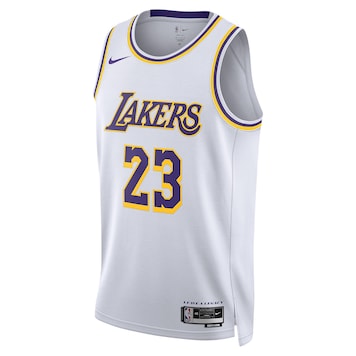 LeBron James Los Angeles Lakers Men's #23 Striped Jersey - Blue 936271-230