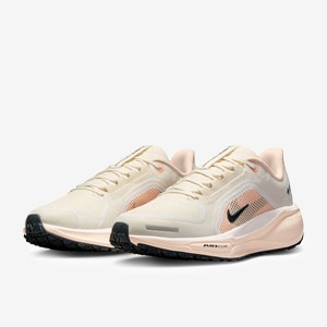 Nike Womens Pegasus 41 GORE-TEX | Pro:Direct Basketball