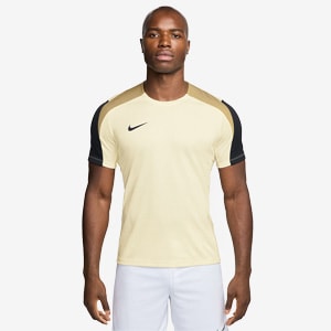 Nike Academy 25 Dri-FIT Top - Photon Dust/LT Smoke Grey