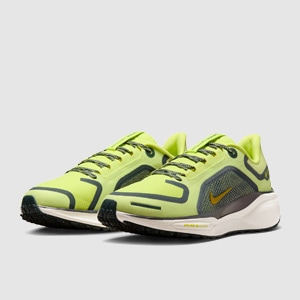 Nike Womens Pegasus 41 GORE-TEX Waterproof | Pro:Direct Running