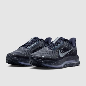 Nike Womens Pegasus Premium | Pro:Direct Running