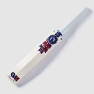 Gunn & Moore Radon Junior Cricket Bat - Blue/Red | Pro:Direct Cricket