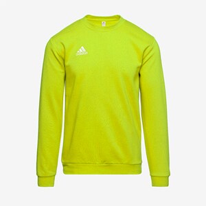 adidas Junior Entrada 22 Sweatshirt