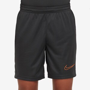 nike dri-fit shorts junior