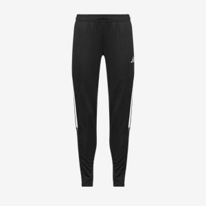 Womens UA Challenger Training Pants  Under Armour