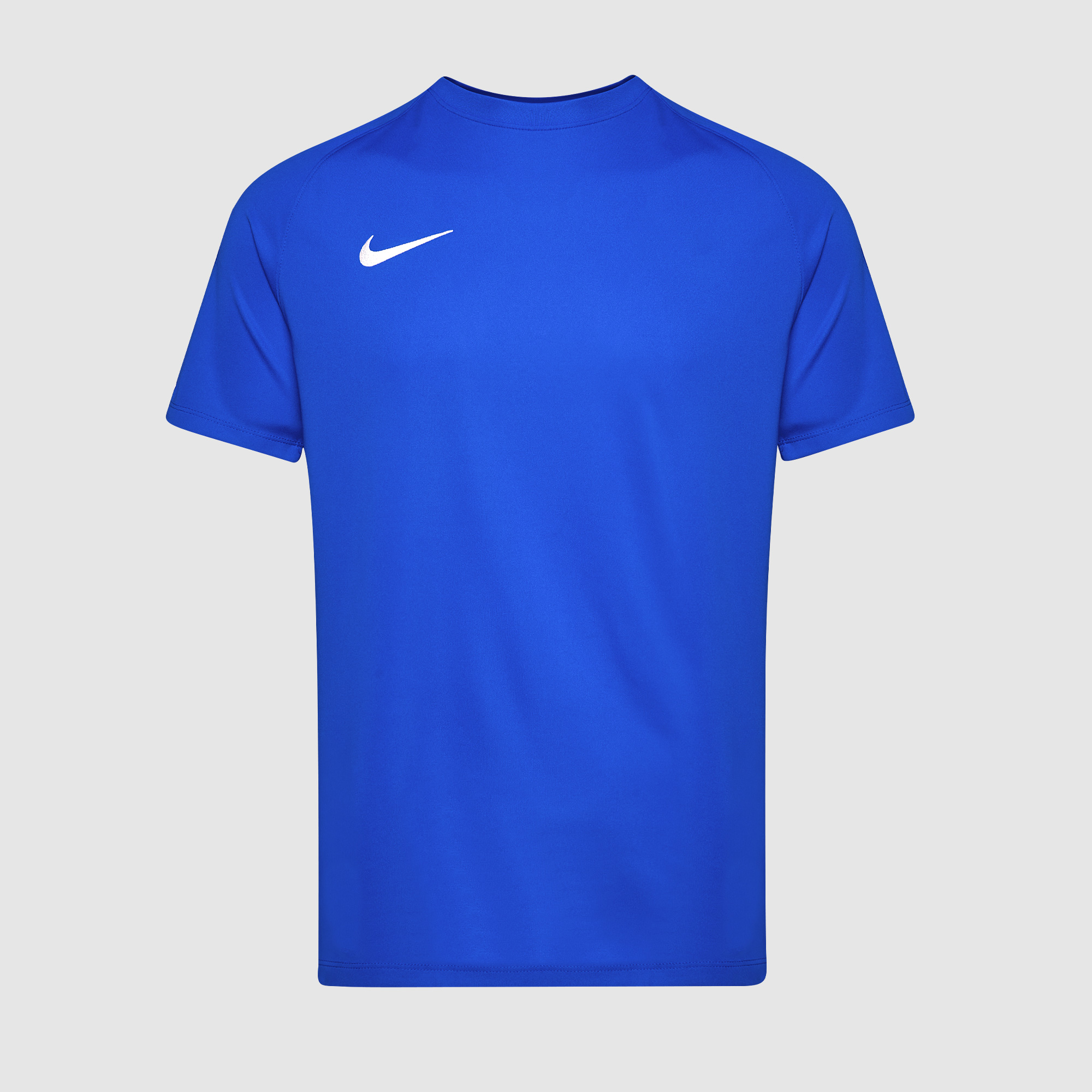 Nike Junior Park Viii Ss Shirt Royal White Blue