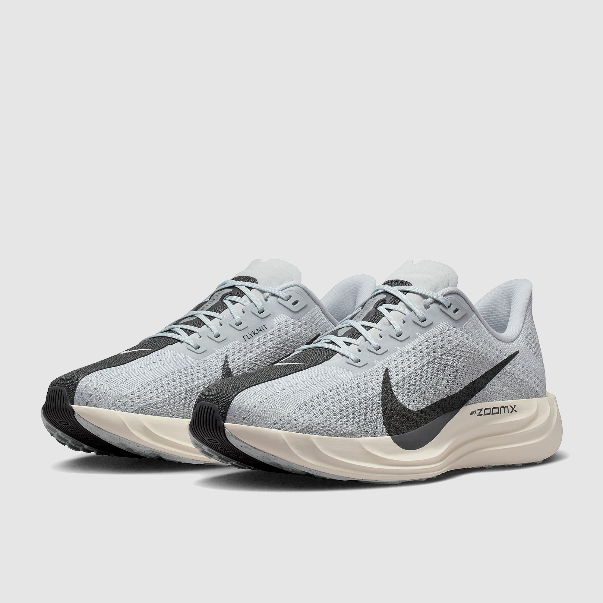 Nike Pegasus Plus Pure Platinum Anthracite Wolf Sail Grey