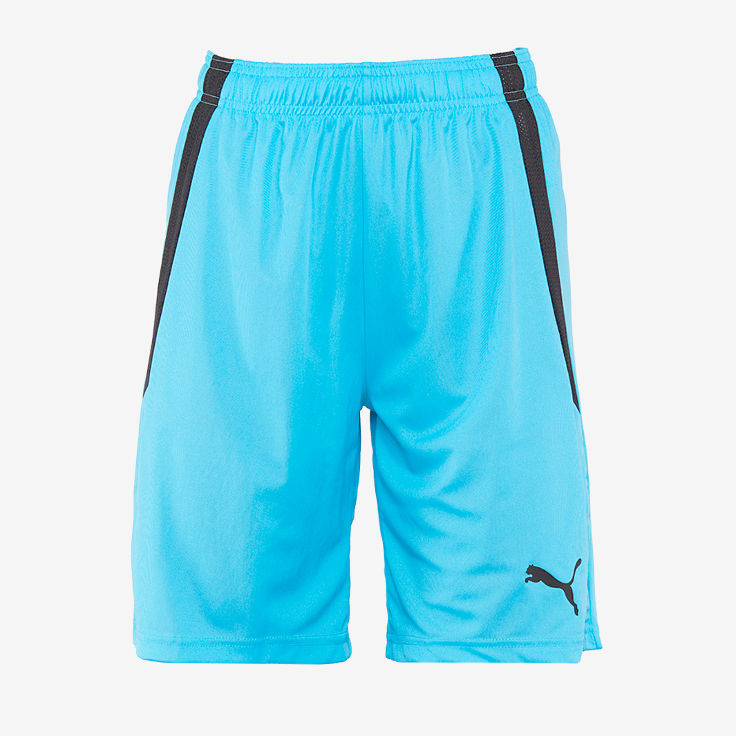 Puma Junior Teamliga Shorts Blue