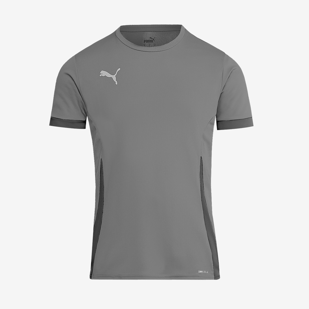 Puma Junior Teamgoal 24 Ss Shirt Grey