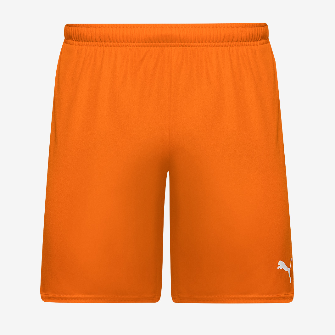 Puma Teamgoal 24 Shorts Orange