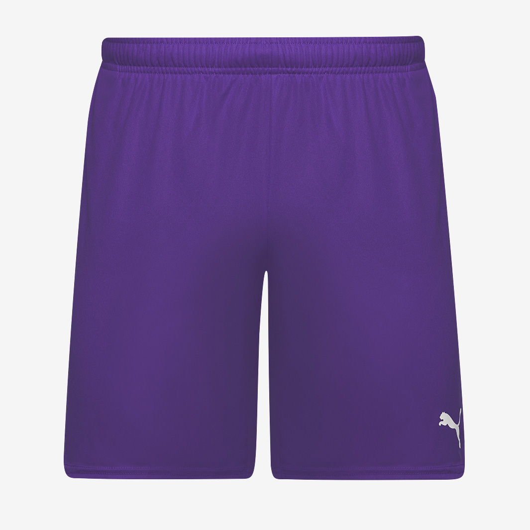 Puma Teamgoal 24 Shorts Purple