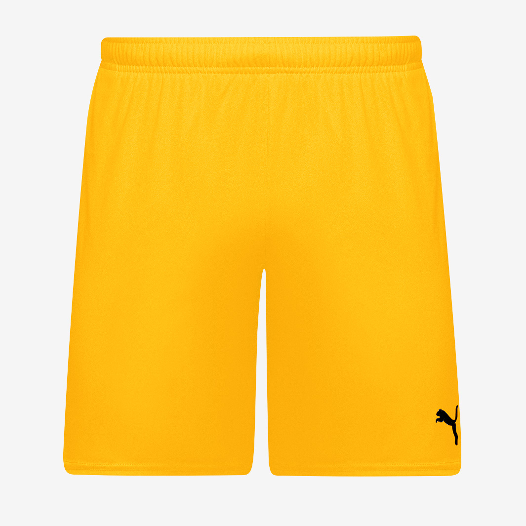 Puma Teamgoal 24 Shorts Orange