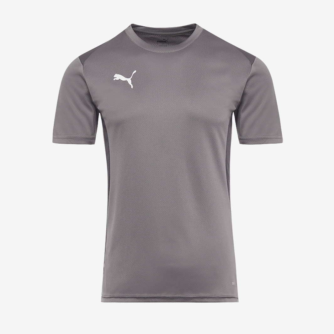 Puma Junior Teamgoal 24 Ss Training Shirt Grey