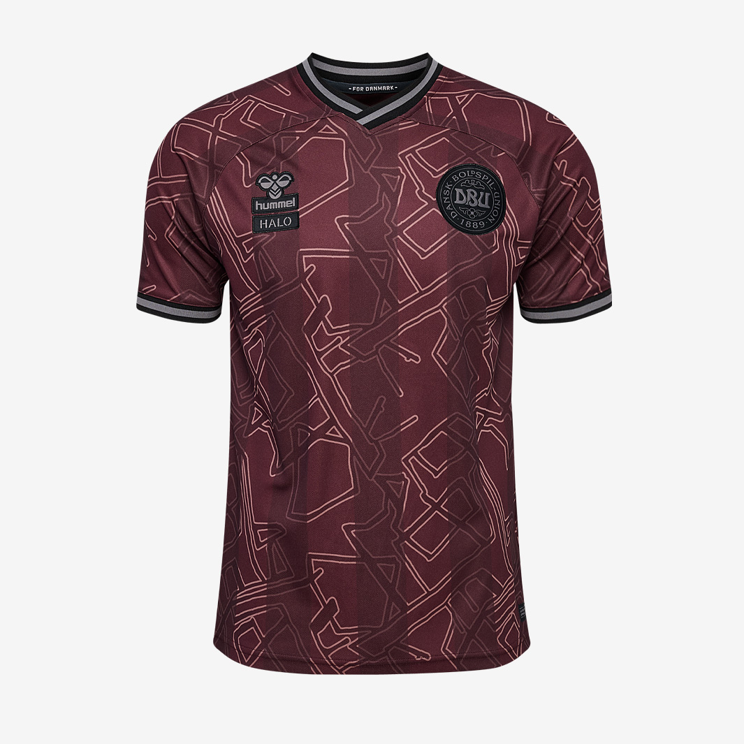 Hummel Denmark 2024 X Halo Ss Shirt Blue