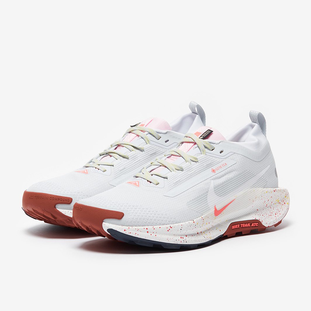 Nike Pegasus Trail 5 Gore Tex Grey