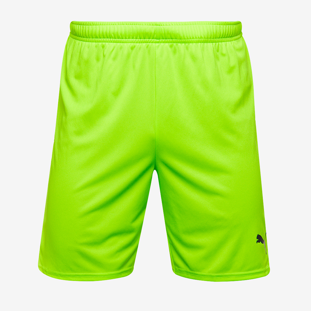 Puma Teamgoal 24 Shorts Green