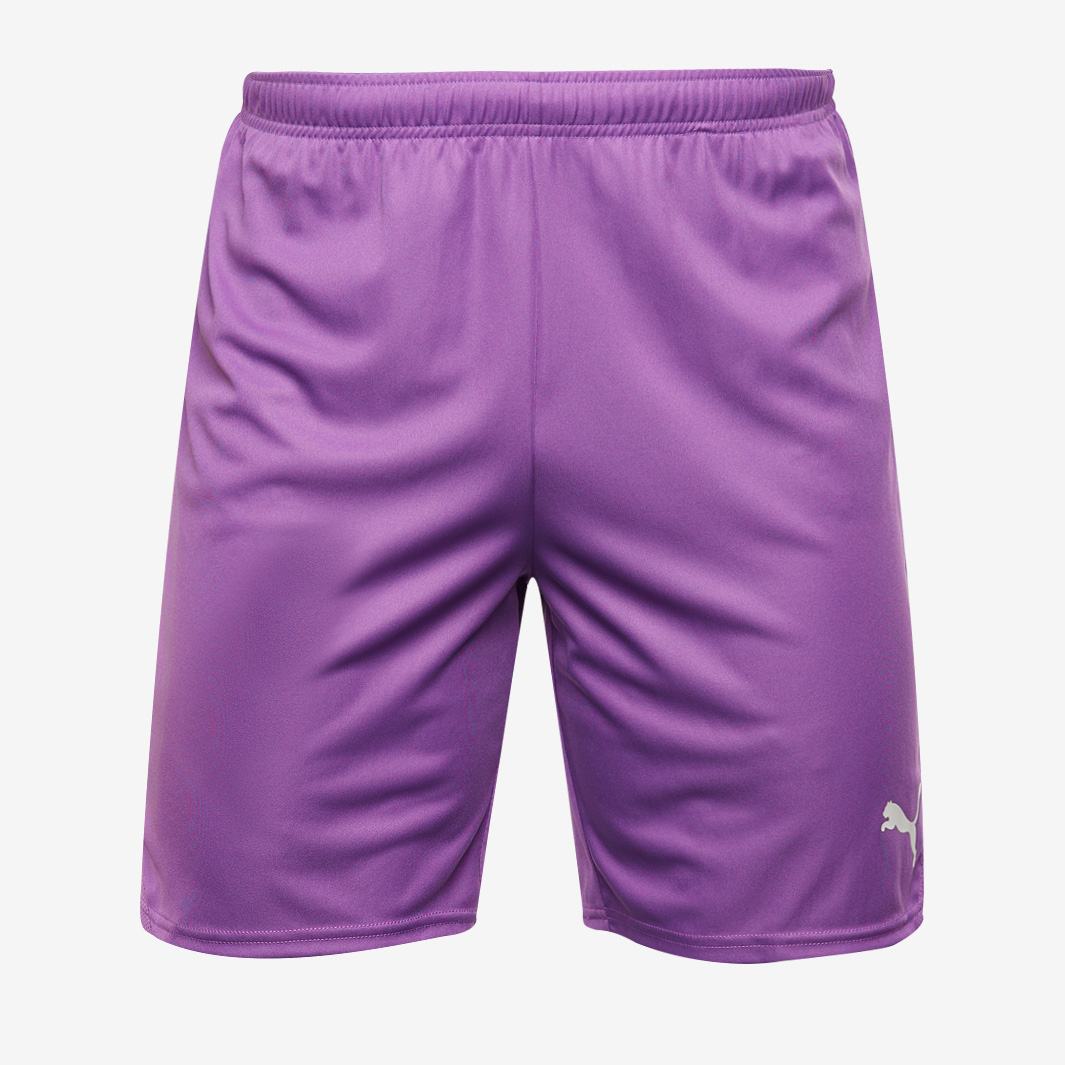 Puma Teamgoal 24 Shorts Purple
