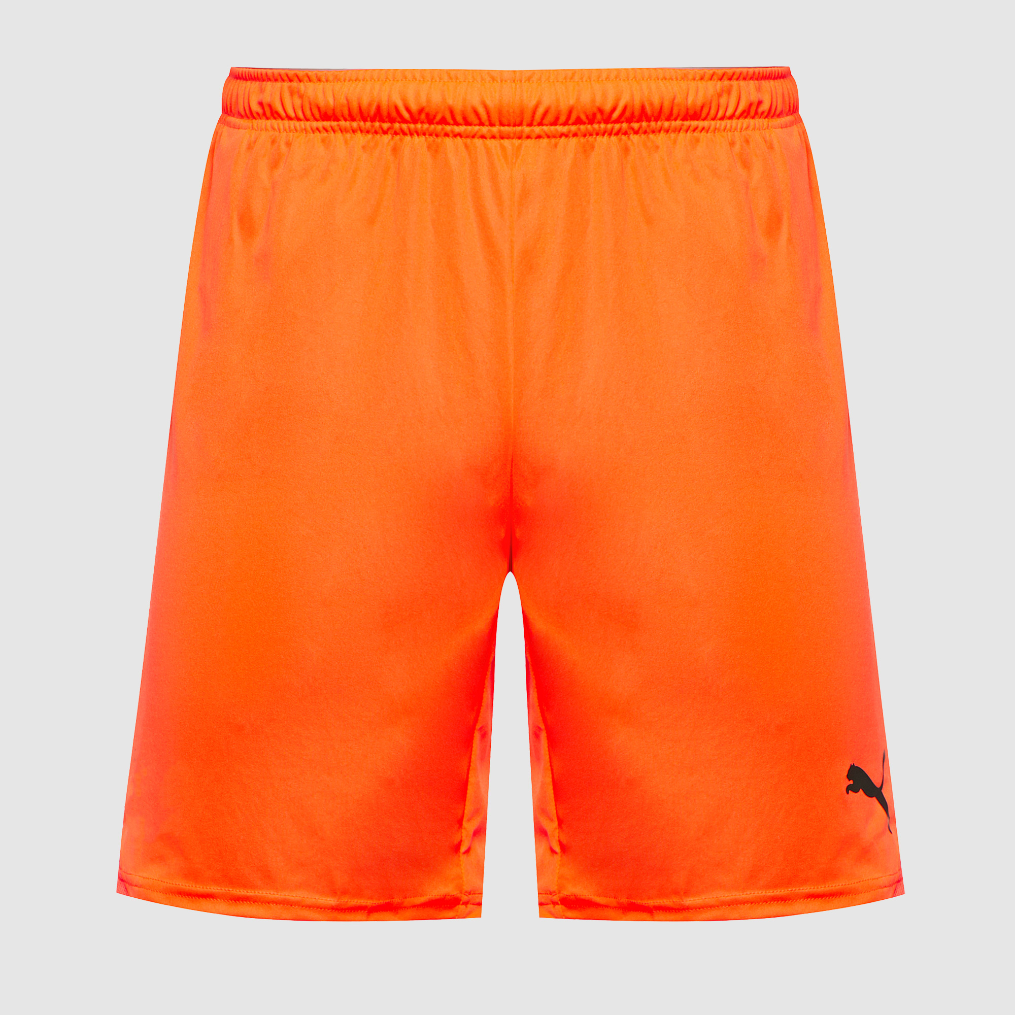 Puma Teamgoal 24 Shorts Orange