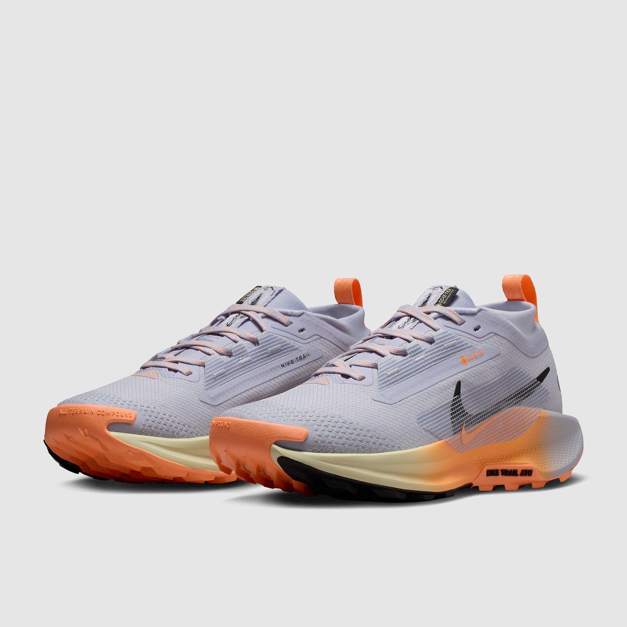 Nike Womens Pegasus Trail 5 Gore Tex Waterproof Grey