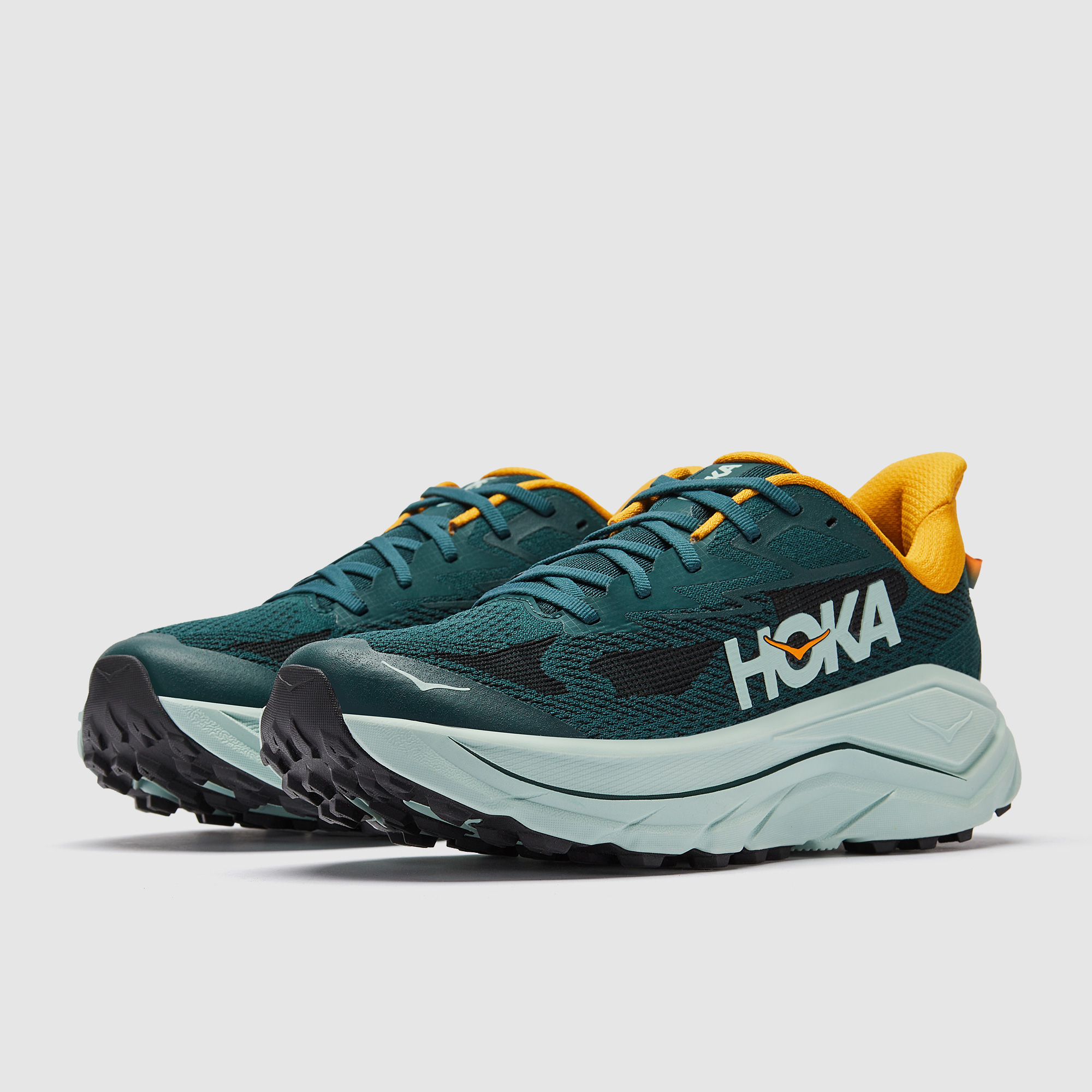 Hoka Challenger 8 Bay Leaf Sage Blue