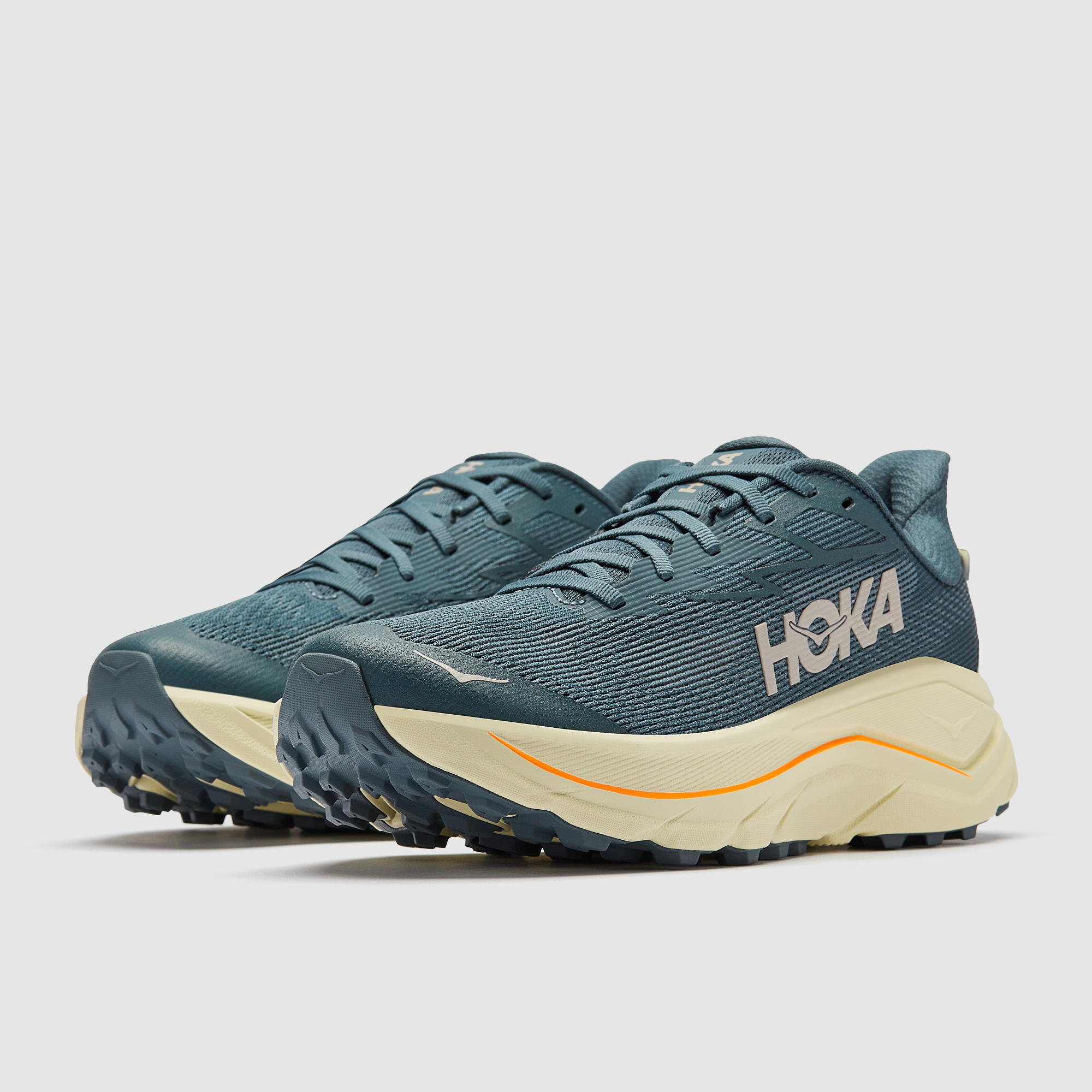 Hoka Challenger 8 Faded Navy Pampass Grass Blue