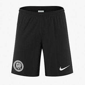 pro direct nike shorts