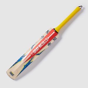 Gray-Nicolls Havoc HB317 Warrior Junior Cricket Bat | Pro:Direct Cricket